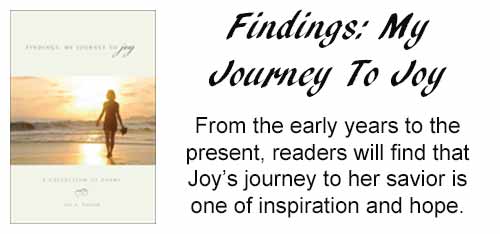 Findings: My Journey To Joy