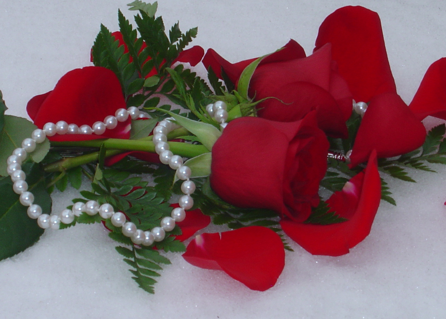 DSC01079 rose pearls crop