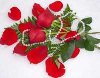 Download ValentineShots200x156