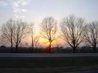 KY sunset thru trees2_200x113