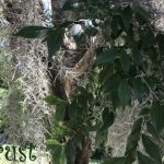 IMG 3504trust560x420