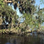 IMG 3594trust560x420