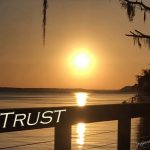 IMG 3599trust500x426