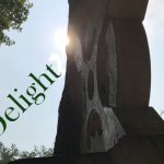 IMG 3931delight550x423