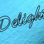 IMG 3947delight540x425