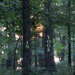 IMG 4901delight560x373