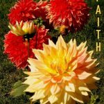 DSC04839 faith350x419