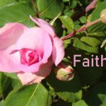DSC04886faith560x407