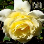 DSC04887faith425x410