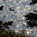 DSC04934faith560x420