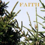 DSC04989faith560x420
