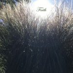 IMG 2307faith560x322