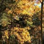 IMG 4148faith560x420