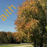 IMG 4151faith560x420