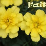 IMG 4153faith560x373