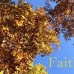IMG 4199faith560x420