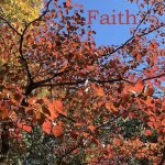 IMG 4201faith560x420