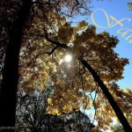 IMG 4204faith560x420