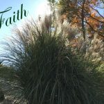 IMG 4205faith560x420