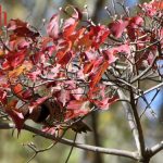 IMG 4233faith560x375