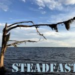 IMG 5573steadfast560x420