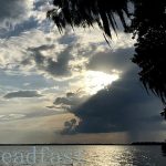 IMG 5579steadfast560x420