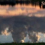 IMG 5673steadfast560x327