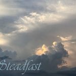 IMG 5699steadfast560x407