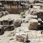 IMG 0658saystheLord490x422