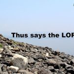 IMG 0837saystheLord560x417