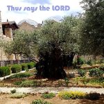 20180517 131944saystheLord560x315