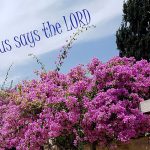 20180517 132332saystheLord560x422