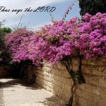 20180517 132339saystheLord560x366