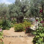 20180517 133522saystheLord560x315