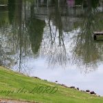 IMG 3500saystheLord560x369