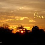 DSC01218grace560x420