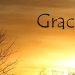 IMG 0049grace560x292