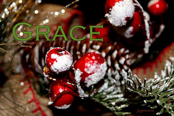 IMG 0074grace560x373