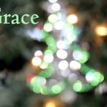 IMG 0115grace560x373