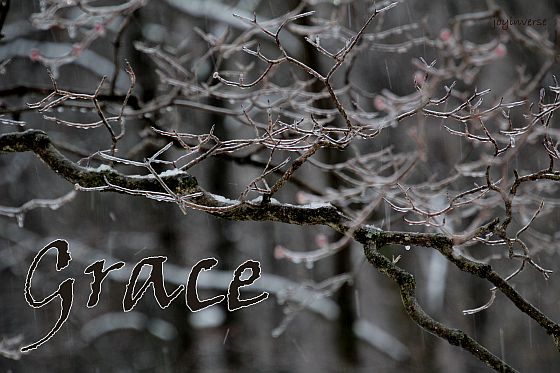 IMG 6014grace560x373