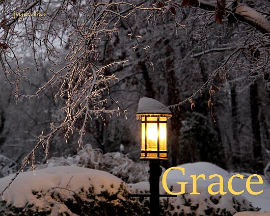 IMG 6047grace560x424