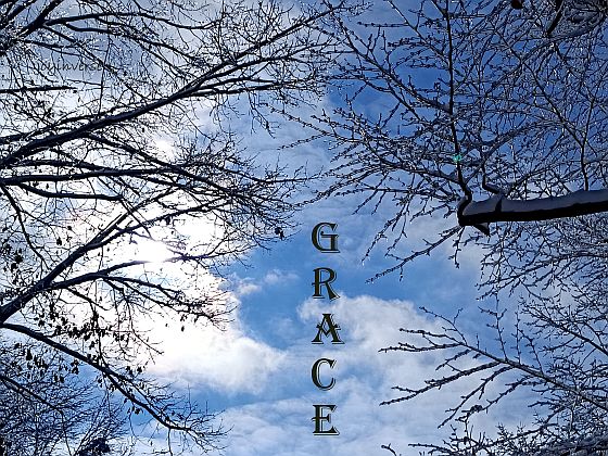 IMG 20250111 103415 183grace560x420