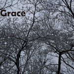 IMG 5442grace560x373