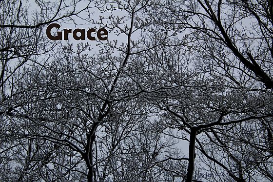 IMG 5442grace560x373