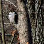 IMG 5451grace560x354