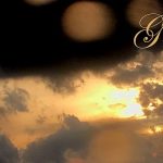 IMG 5471grace560x335