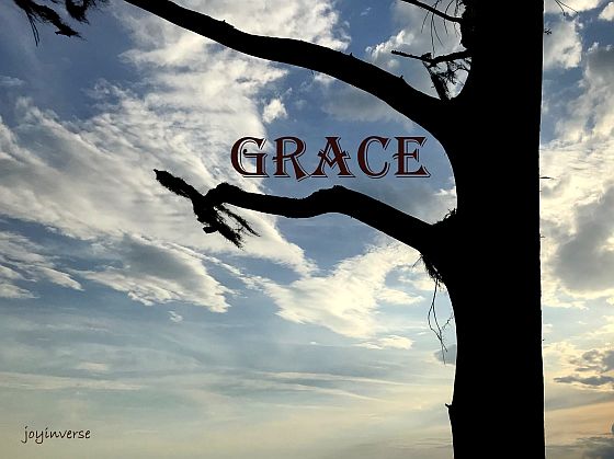 IMG 5594grace560x419