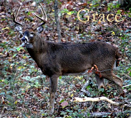IMG 5737grace460x414
