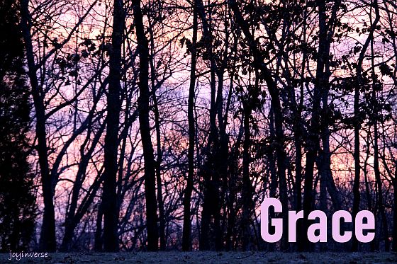 IMG 6109grace560x373