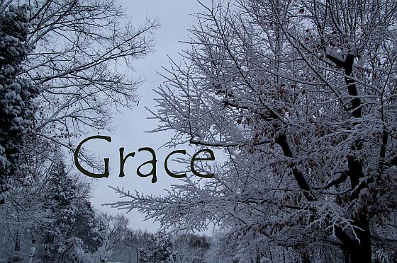 IMG 6127grace560x372